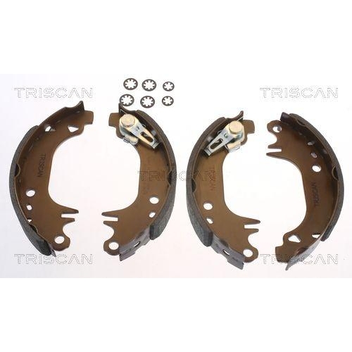 TRISCAN Bremsbackensatz 8100 10006