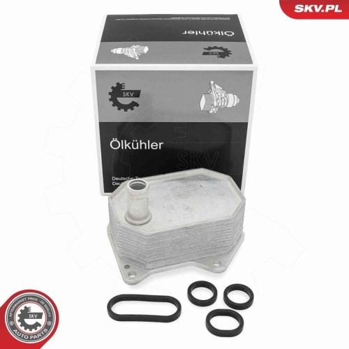 ESEN SKV &Ouml;lk&uuml;hler, Motor&ouml;l