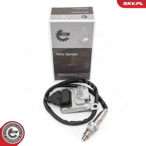 ESEN SKV NOx-Sensor, Harnstoffeinspritzung