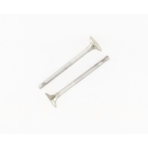 CORTECO Auslassventil 550324B