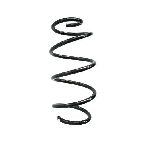 SPIDAN Fahrwerksfeder