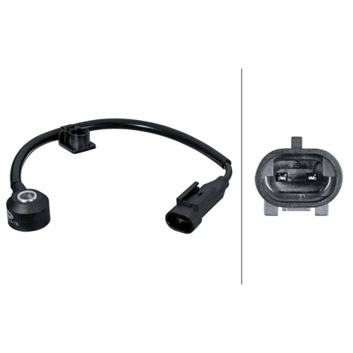 HELLA Klopfsensor 6PG 013 114-731