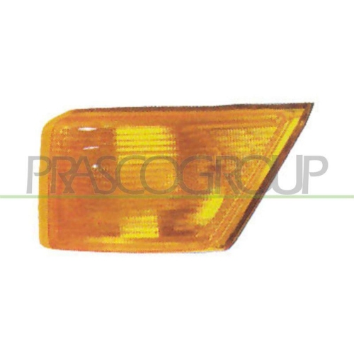 PRASCO Lichtscheibe, Blinkleuchte FT9264104
