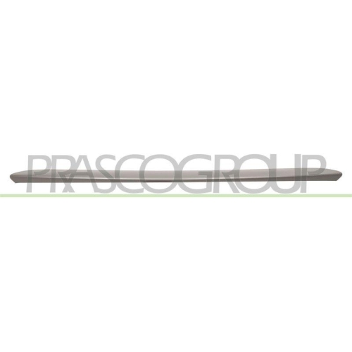 PRASCO Zier-/Schutzleiste, Sto&szlig;f&auml;nger TY3541246