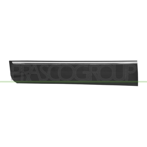PRASCO Zier-/Schutzleiste, T&uuml;r FD8041414