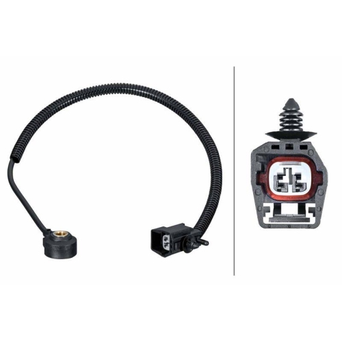 HELLA Klopfsensor 6PG 013 114-741