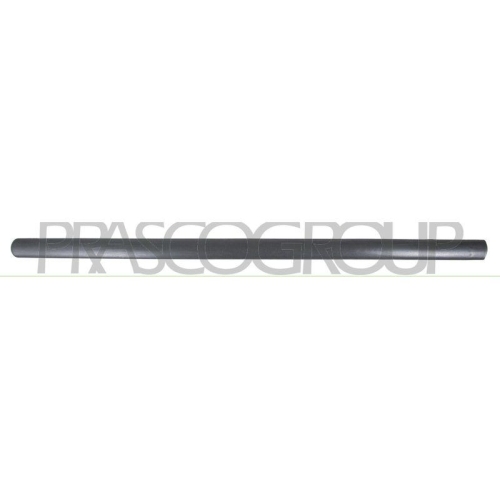 PRASCO Zier-/Schutzleiste, T&uuml;r VG9041403