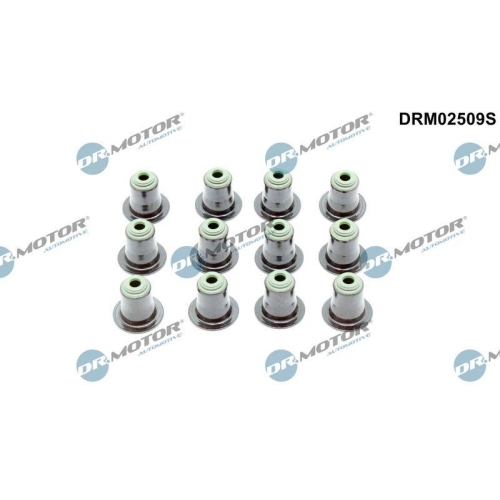 Dr.Motor Automotive Dichtungssatz, Ventilschaft DRM02509S