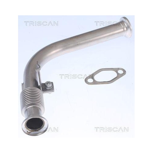 TRISCAN Rohrleitung, AGR-Ventil 8811 23000