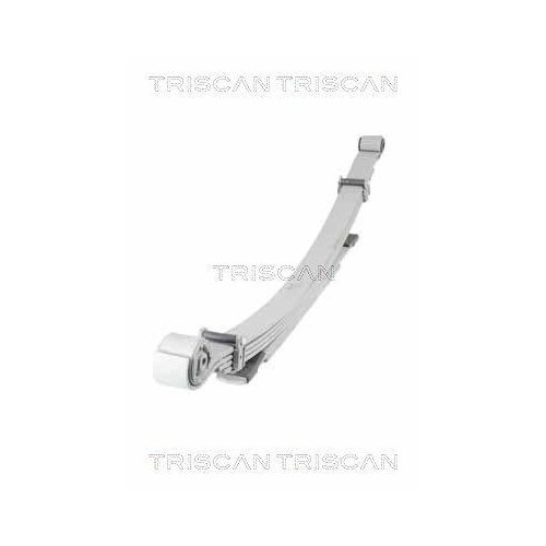 TRISCAN Federnpaket 8765 16060