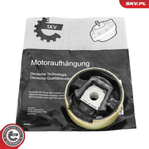 ESEN SKV Lagerung, Motor