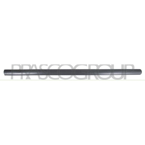 PRASCO Zier-/Schutzleiste, T&uuml;r VG9041404