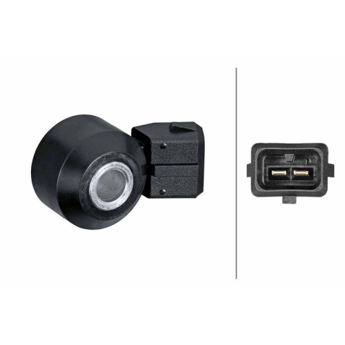 HELLA Klopfsensor 6PG 013 114-761