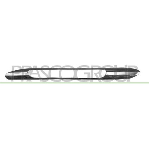 PRASCO Zier-/Schutzleiste, Sto&szlig;f&auml;nger ME4241247