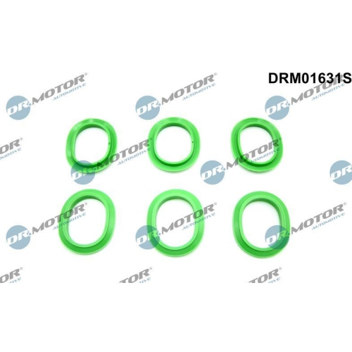 Dr.Motor Automotive Dichtungssatz, Ansaugkr&uuml;mmer DRM01631S