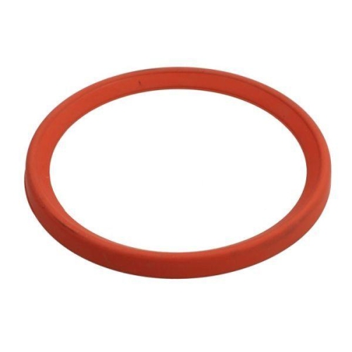 THERMOTEC Dichtring, Ladeluftschlauch DCR281TT