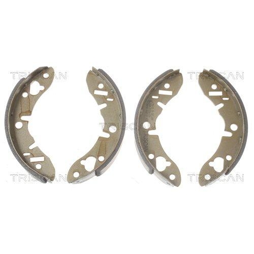 TRISCAN Bremsbackensatz 8100 17003