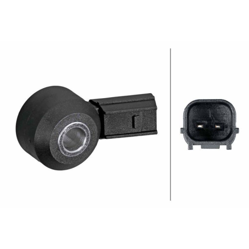 HELLA Klopfsensor 6PG 013 114-781