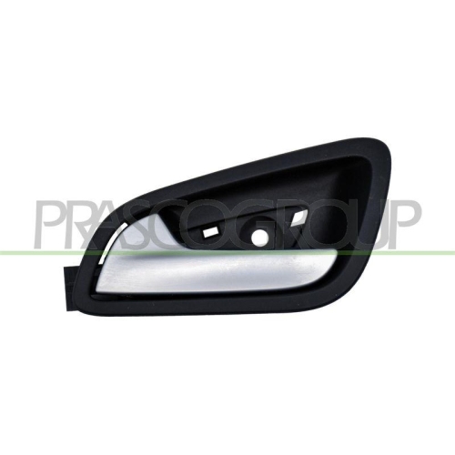 PRASCO T&uuml;rgriff, Innenausstattung FD8048502