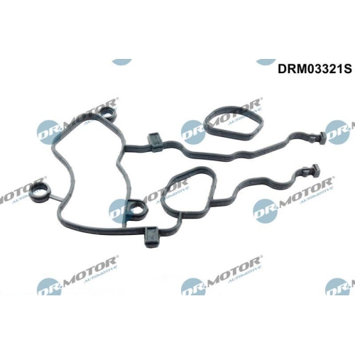 Dr.Motor Automotive Dichtungssatz, Steuergeh&auml;use DRM03321S