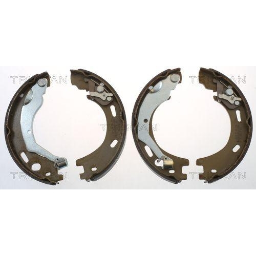 TRISCAN Bremsbackensatz, Feststellbremse 8100 17015