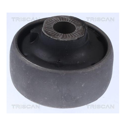 TRISCAN Lagerung, Lenker