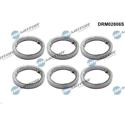 Dr.Motor Automotive Dichtungssatz, Abgaskrümmer