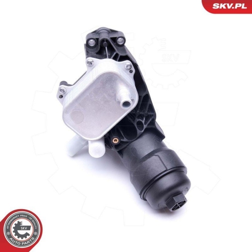 ESEN SKV &Ouml;lk&uuml;hler, Motor&ouml;l 31SKV166