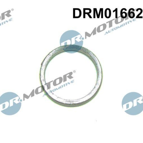 Dr.Motor Automotive Dichtung, Lader DRM01662