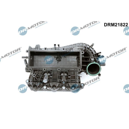 Dr.Motor Automotive Saugrohrmodul DRM21822