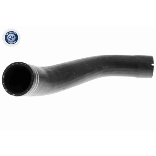 VAICO Ladeluftschlauch Q+, Erstausrüsterqualität V24-0712