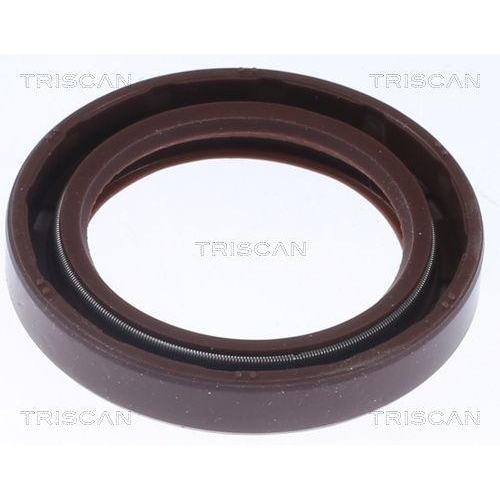 TRISCAN Wellendichtring, Differential 8550 10072