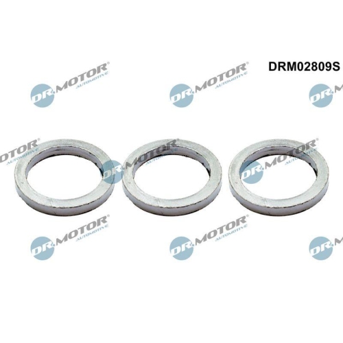 Dr.Motor Automotive Dichtungssatz, Abgaskrümmer