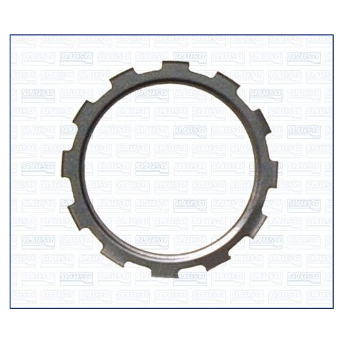 AJUSA Dichtung, AGR-Ventil 01259300