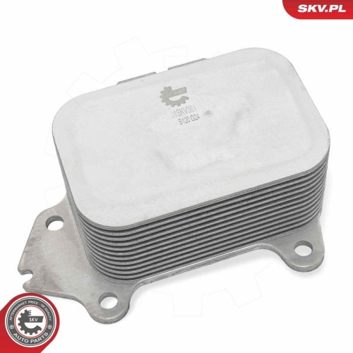 ESEN SKV &Ouml;lk&uuml;hler, Motor&ouml;l 31SKV381