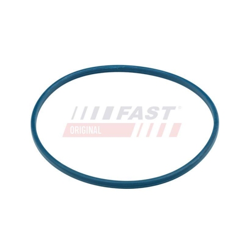 FAST Dichtung, Kraftstofftankverschluss FT48504