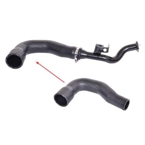 BUGIAD Ladeluftschlauch 88492