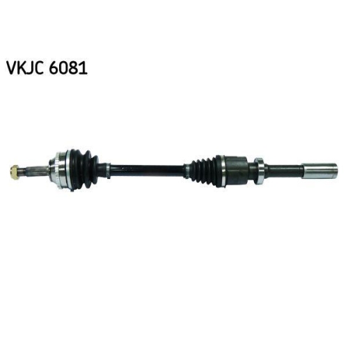 SKF Antriebswelle VKJC 6081