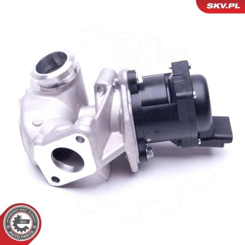 ESEN SKV AGR-Ventil 14SKV202