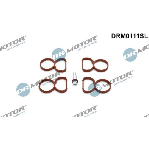 Dr.Motor Automotive Dichtungssatz, Ansaugkr&uuml;mmer DRM0111SL