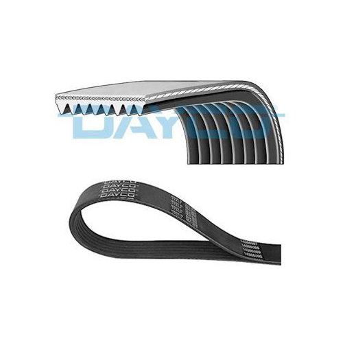 DAYCO Keilrippenriemen 8PK1057H