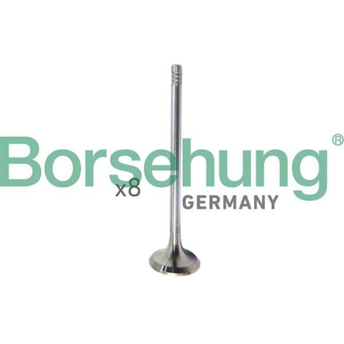 Borsehung Einlassventil B10322