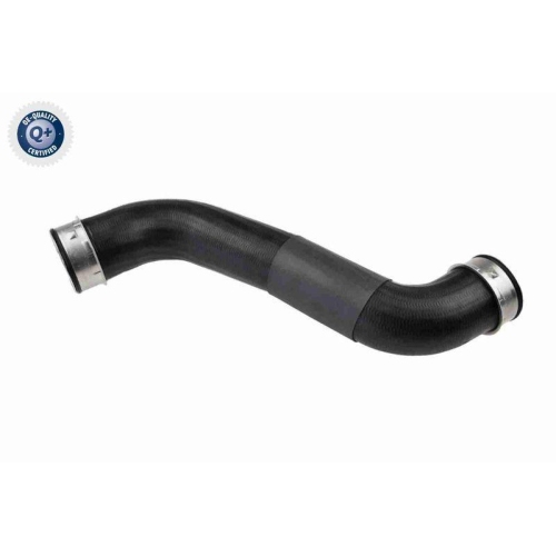VAICO Ladeluftschlauch Q+, Erstausrüsterqualität V30-2726