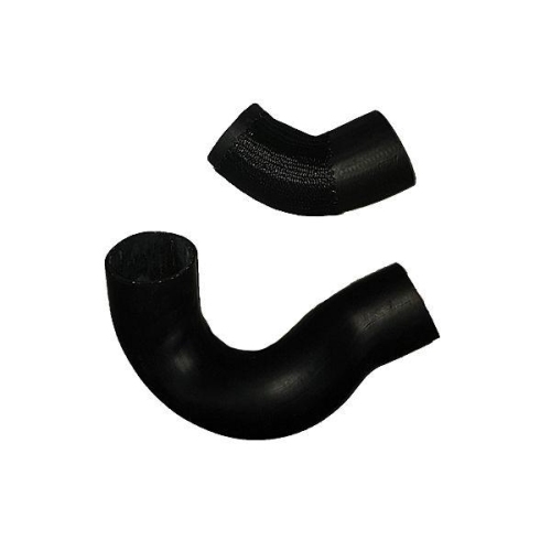 BUGIAD Ladeluftschlauch 88558