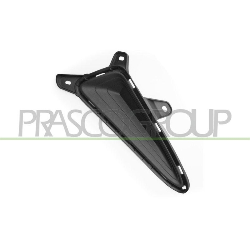 PRASCO Zier-/Schutzleiste, Sto&szlig;f&auml;nger TY7001244