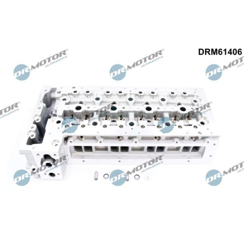 Dr.Motor Automotive Zylinderkopf DRM61406