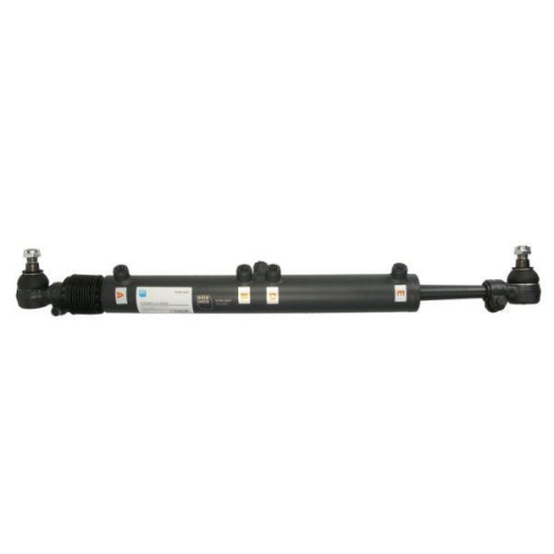 REINHOCH Arbeitszylinder, Servolenkung RH59-5007