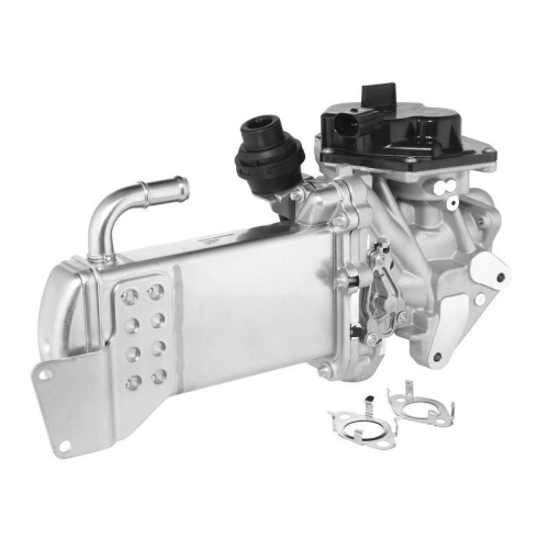 BorgWarner AGR-Modul 710946D