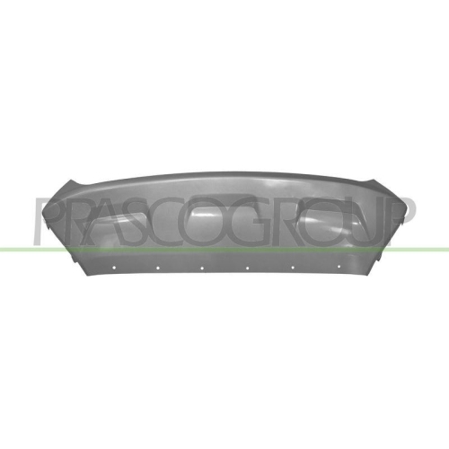PRASCO Zier-/Schutzleiste, Sto&szlig;f&auml;nger FD8061802