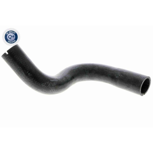 VAICO K&uuml;hlerschlauch Q+, Erstausr&uuml;sterqualit&auml;t V24-0872